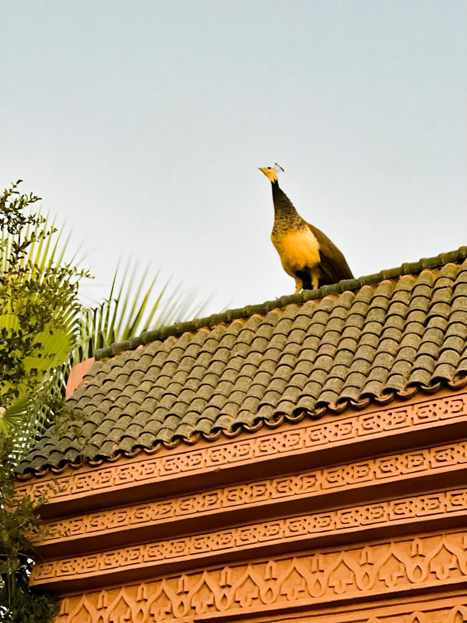 Guest House Qodwa Sidi Abdallah Ghiat Bagian luar foto